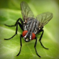 /album/hergenterraplenagem/photolia-a01-jpg/