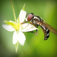 /album/hergenterraplenagem/photolia-a02-jpg/