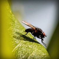 /album/hergenterraplenagem/photolia-a04-jpg/