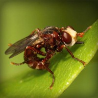 /album/hergenterraplenagem/photolia-a06-jpg/