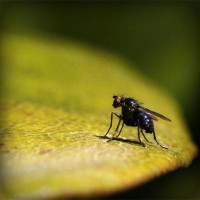 /album/hergenterraplenagem/photolia-a07-jpg/