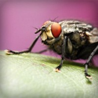 /album/hergenterraplenagem/photolia-a08-jpg/
